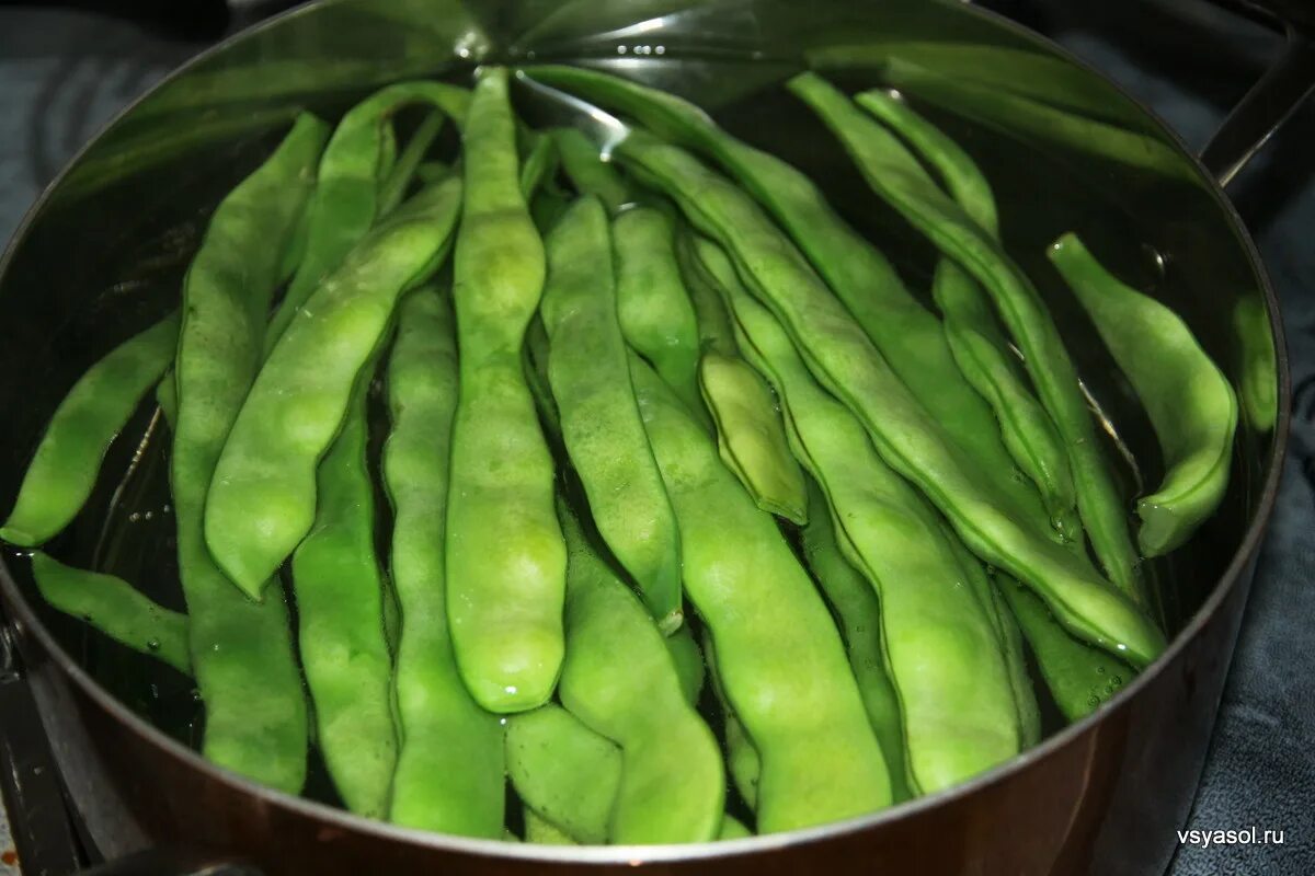 Plant Some Runner Beans - Vegetable Gardener Runner beans, Scarlet runner beans,