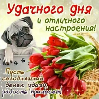 Добрый день проза девушке