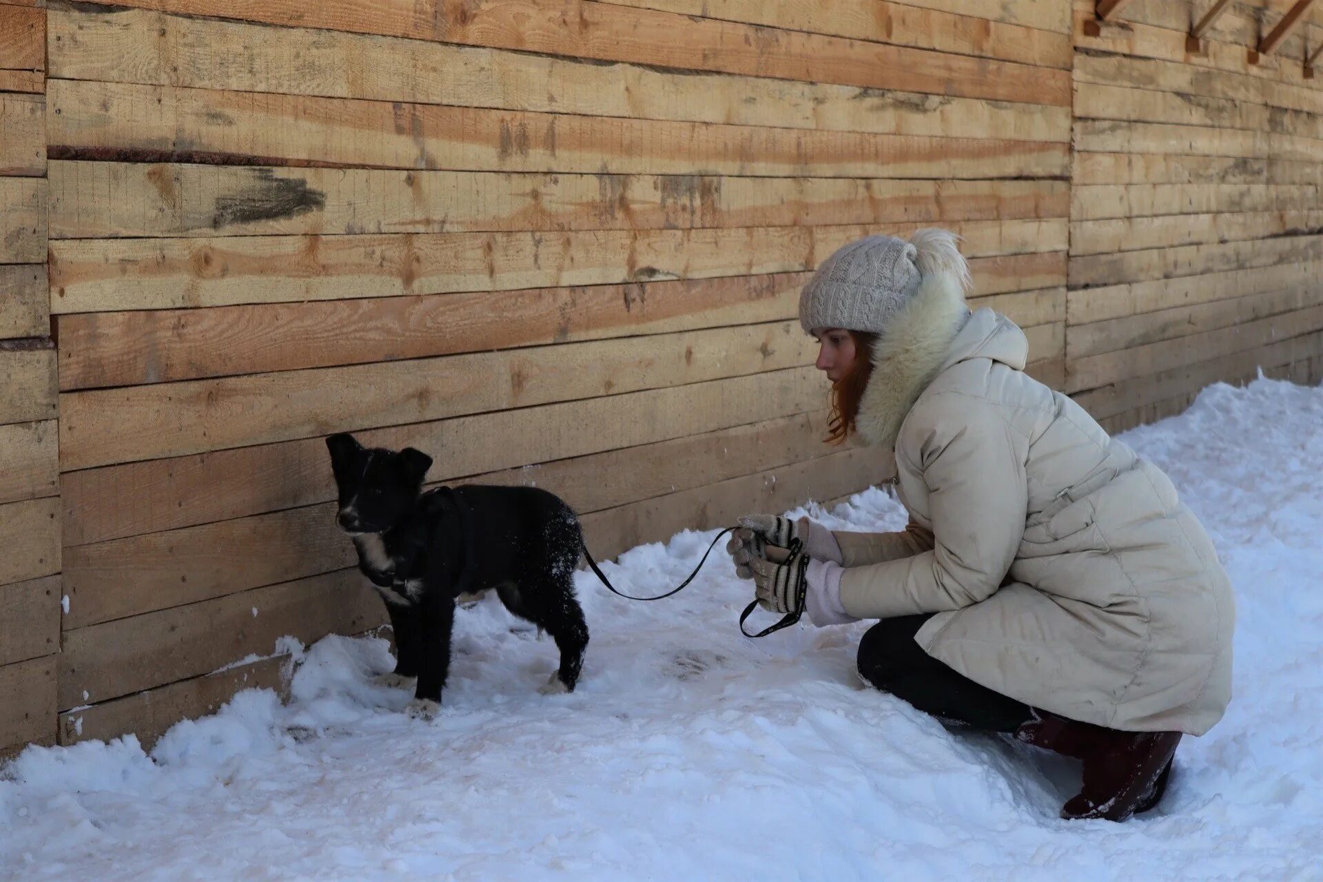 Приют в будни лохматого приюта. Лохматые судьбы приют хотьково отзывы. Приют для собак судьбы лохматых в новочеркасске. Приватный канал с фильмами фильм. Лохматые судьбы приют.