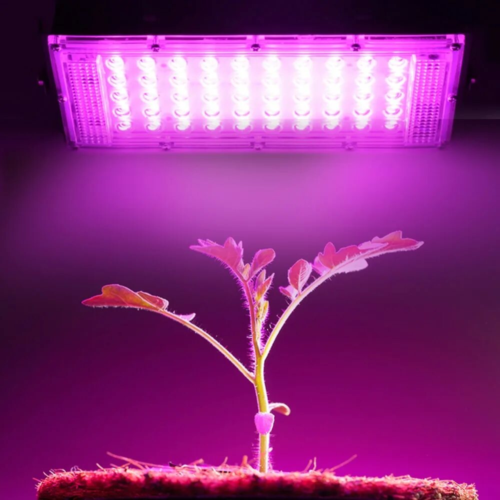 Ультрафиолетовая лампа для цветов. Фитолампа led grow light. Фитолампа полного спектра 300 вт. Фитолампа grow light 40 вт. Свет лампы для выращивания.