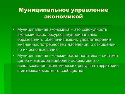 Муниципальные экономические системы