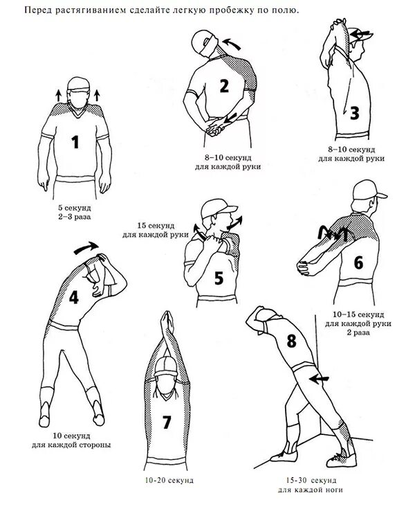 Разминка перед нагрузкой. Схема разминки перед тренировкой. Схема разминки перед бегом. Разминка для разогрева мышц перед тренировкой. Комплекс упражнений для разминки перед тренировкой.