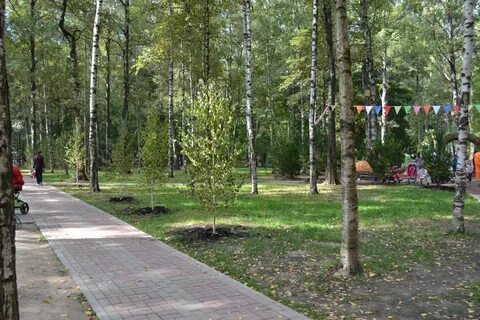 Здоровое подмосковье лобня