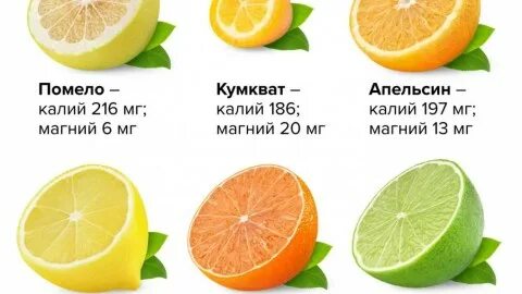 Сколько калорий в апельсине 100г