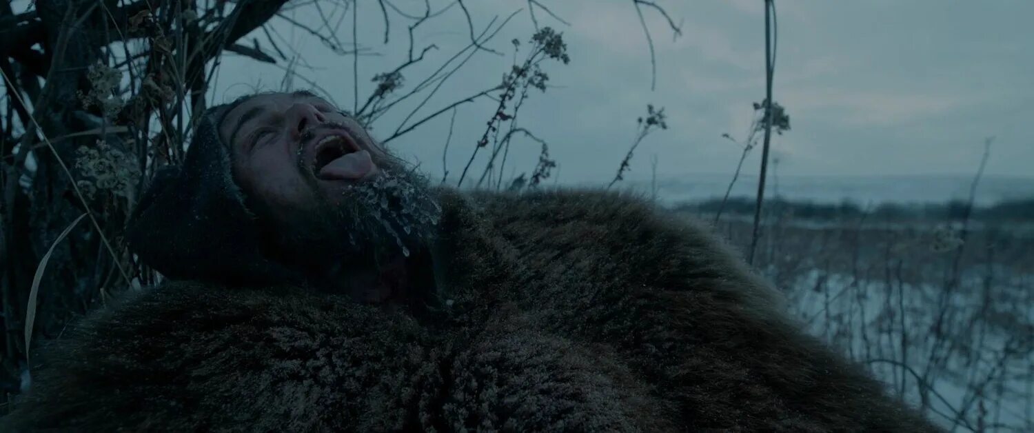 возможно выжить. фильм выживший с ди каприо. дикаприо в фильме выживший. возможно выжить. том харди выживший.