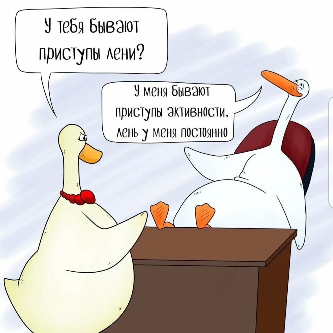 Гусь смешные картинки. Смешной гусь. гусь юмор. шутки про гусей. ленивый гусь.
