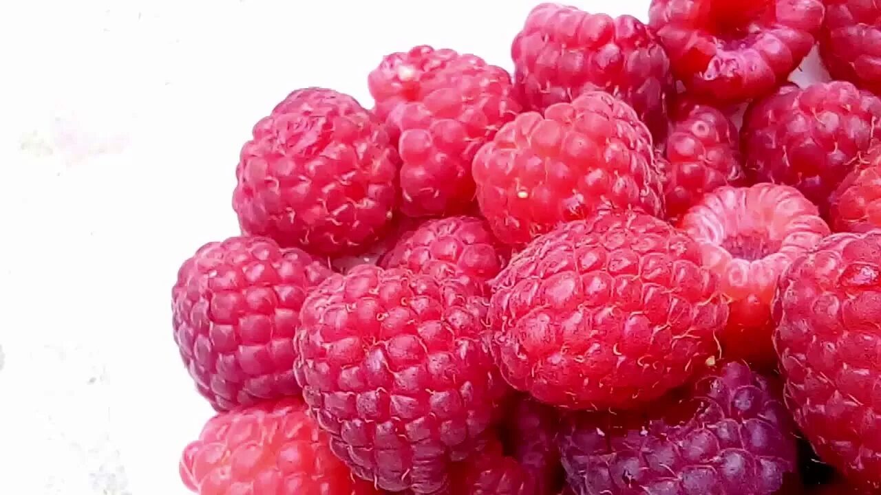 сорта малины шапка мономаха. малина ремонтантная шапка мономаха. сорта малины шапка мономаха. сорт малины шапка мономаха. малина шапка мономаха.