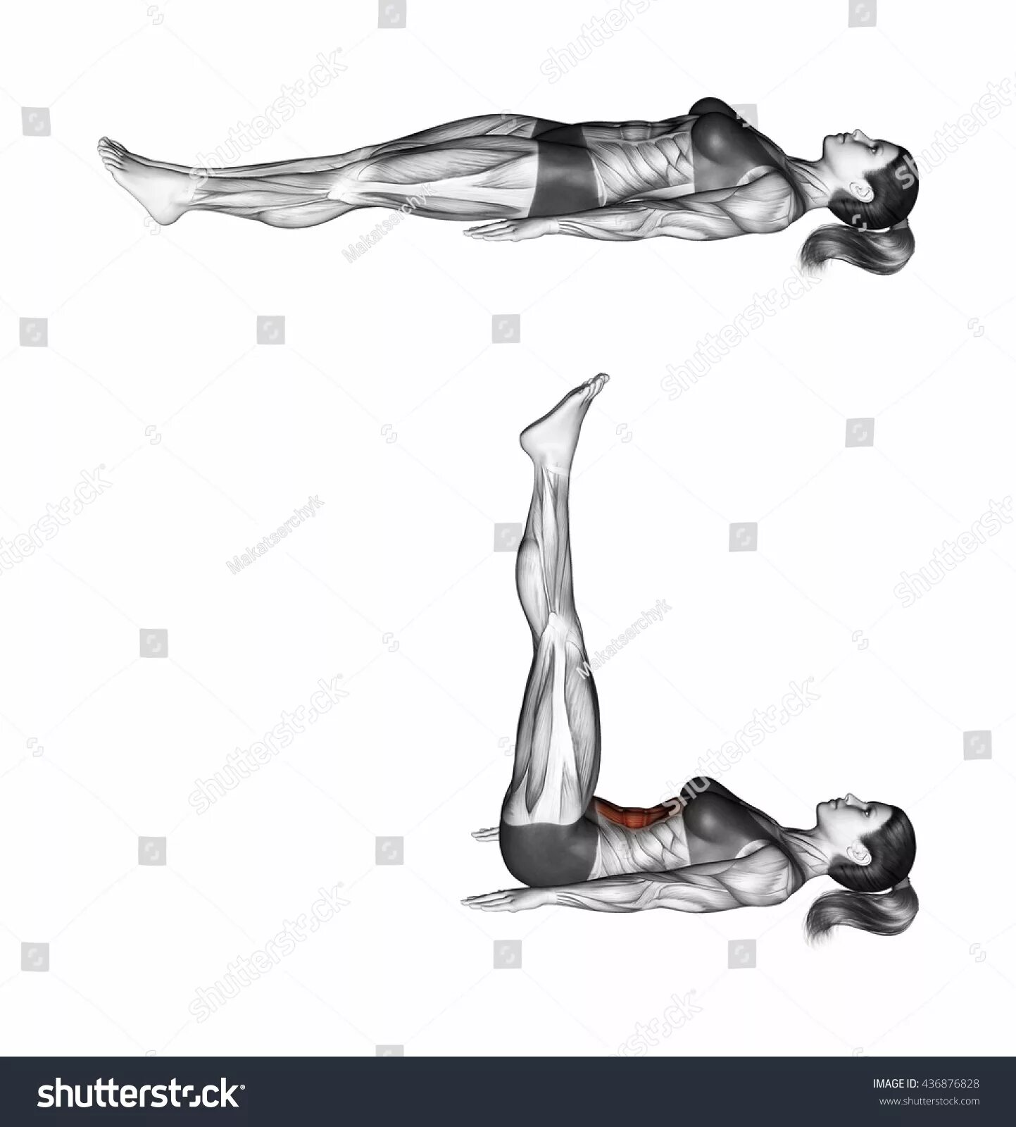 Техника выполнения подъема ног. Leg raises упражнение. Leg raises illustration. Lying Leg raises. Fitness 3d illustration.