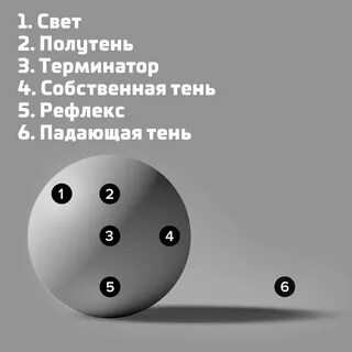 Рефлекс тень
