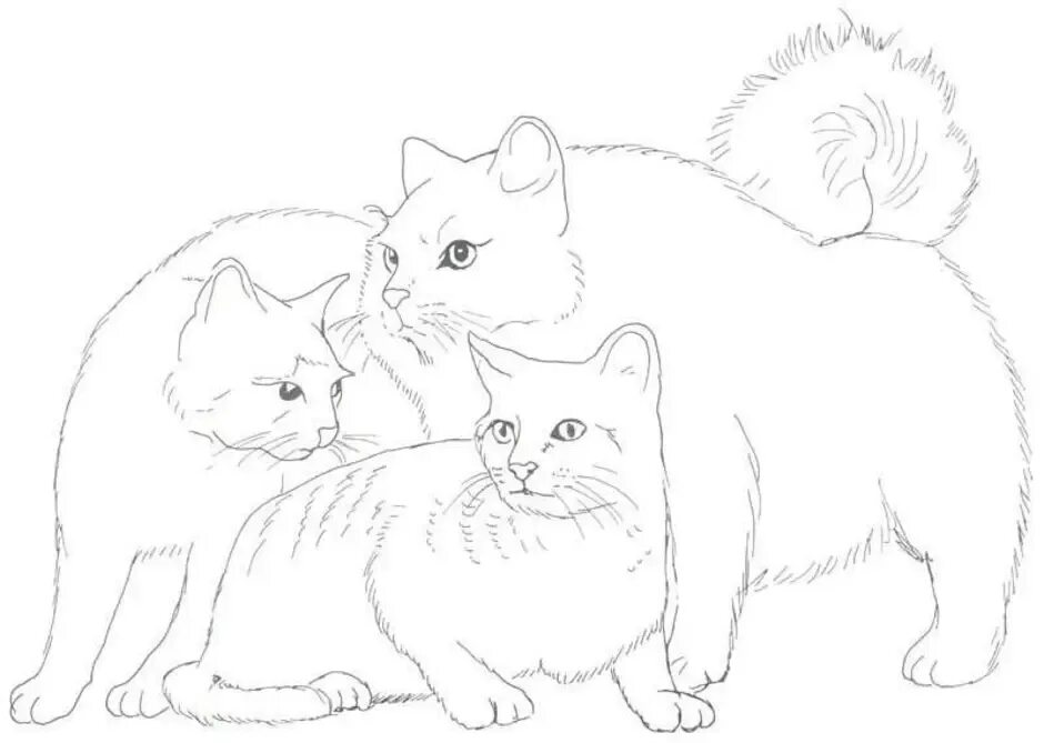 Схема рисования кошки. Раскраска кошечка. Кошка с котятами раскраска для детей. Как нарисовать кошку с котятами. Поэтапное рисование кошки для детей.