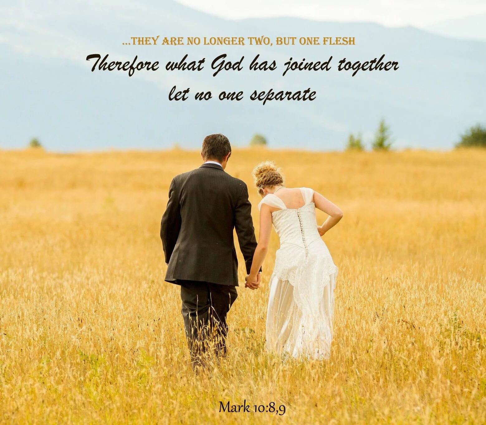 Христианские пары. Христианские отношения. Библия о счастливом браке. Любовь брак.