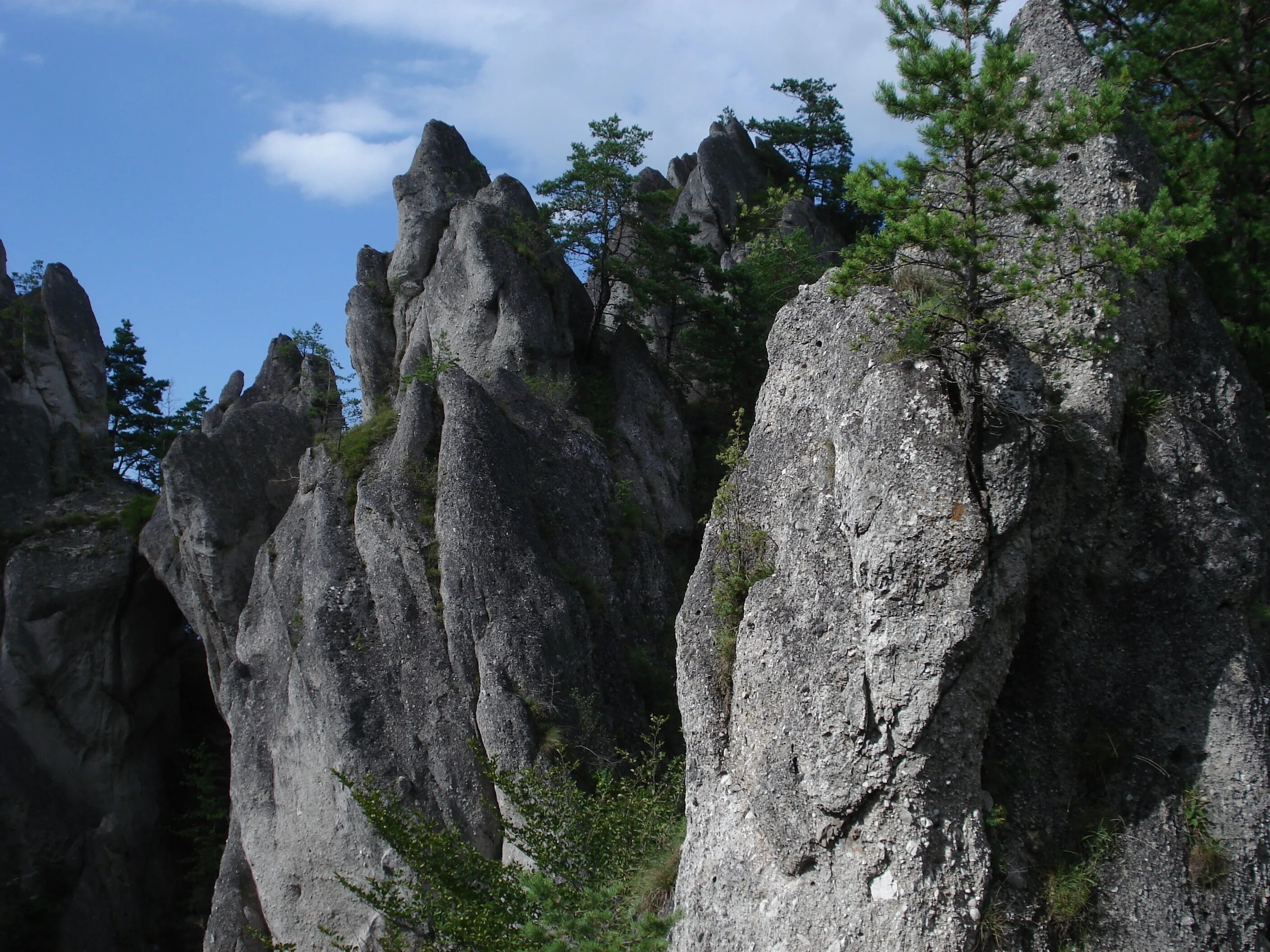 Современные скалы. Словакия скалы. Небольшая скала. Кусок скалы. Острые скалы.