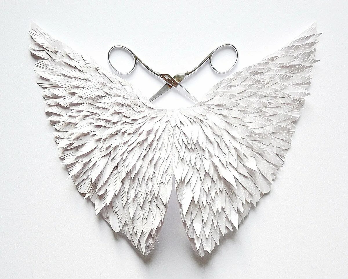 Крылышки ангела из изолона. Крылья эстетика. Крылышки из бумаги. Крылышки из бумаги. Перо из бумаги.