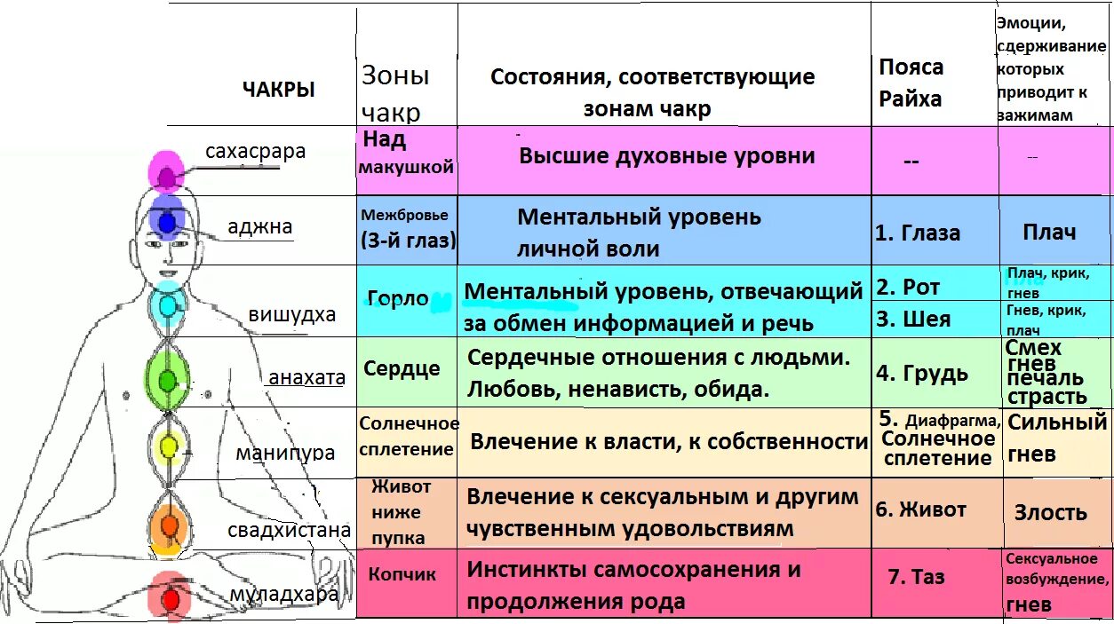 Чакры человека. Чакры в организме человека. Чакры и блоки в теле. Центры чакры.