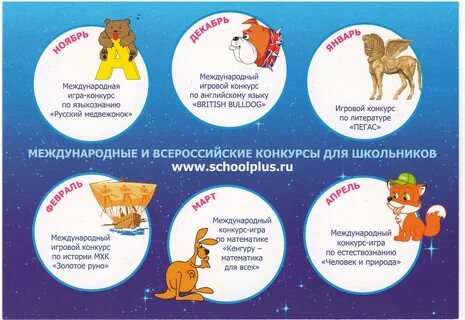Международный игровой конкурс кенгуру 2024
