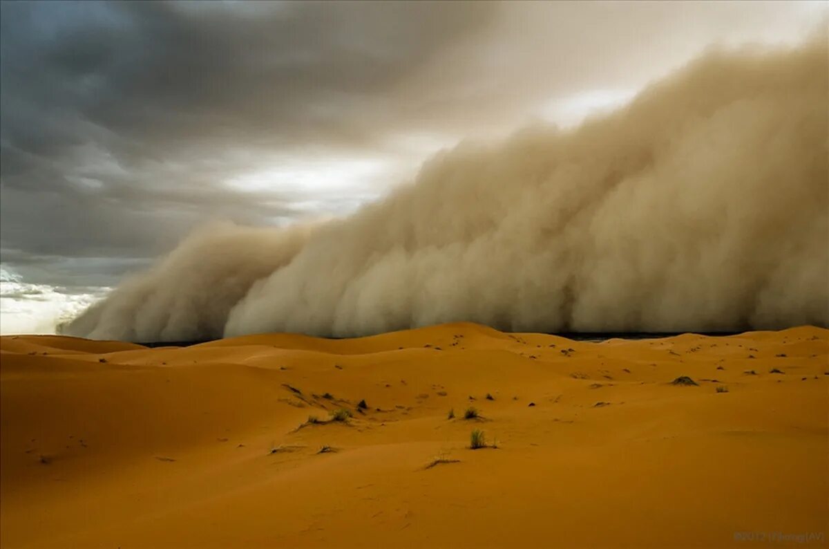 Ветер волны раздувает. Самум Песчаная буря. Песчаная буря в пустыне сахара. Самум ветер пустыни. Хамсин ветер пустыни.