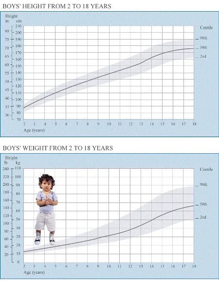 Height load. Weight and height Table. Normal boy age 16 height and Weight. Height and Weight DB. Weight and height Tab.