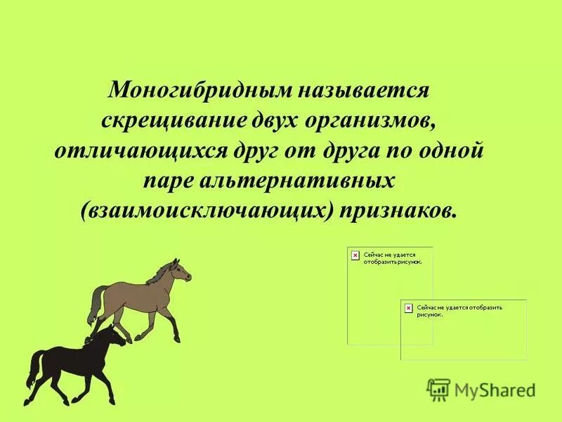 Моногибридным называется скрещивание двух. Моногибридным называется скрещивание двух. Моногибридное скрещивание 1:1. Моногибридное скрещивание. Моногибридное скрещивани.
