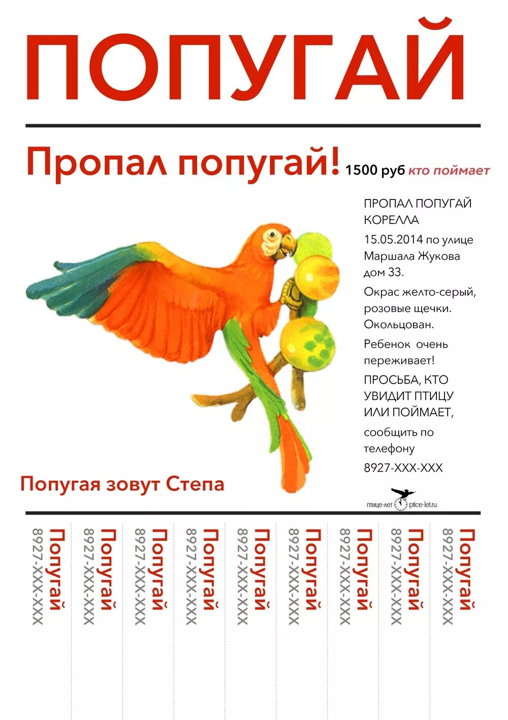 Переводчик с попугайского. Пропал попугай объявление. Объявление про попугая. Объявление о пропаже волнистого попугая. Объявление о продаже попугая.