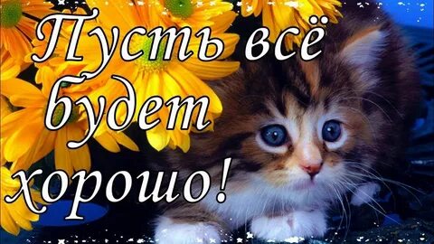 Видео с пожеланием другу