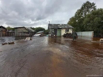 Погода бира еао 10 дней