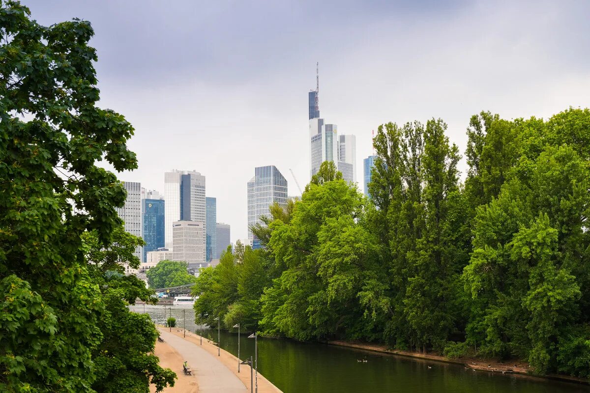 Франкфурт на майне закат. Улица цайль франкфурт-на-майне. Frankfurt 4. Frankfurt city forest. Франкфурт хорошая гавань.