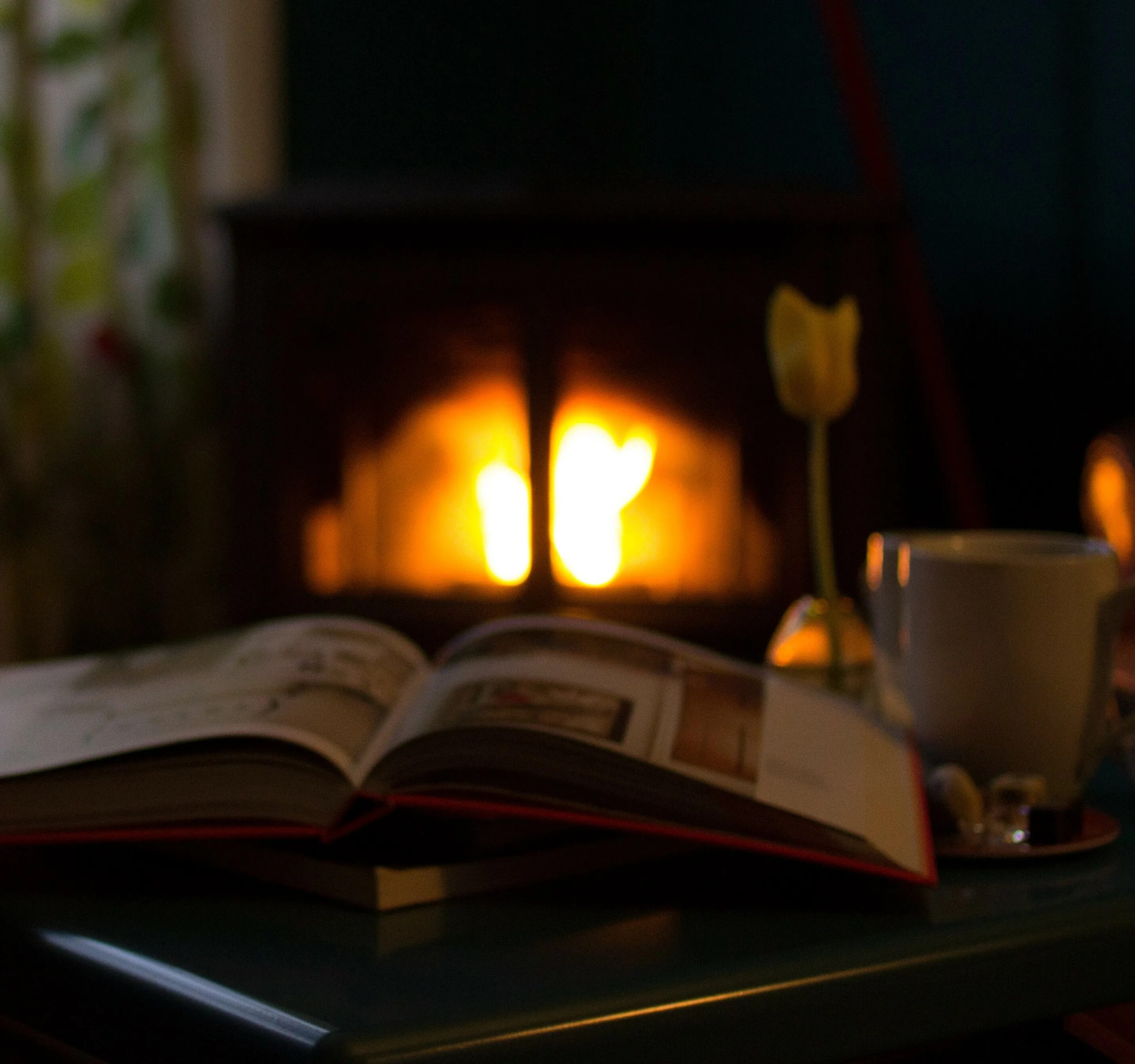 Камин и книги. С книгой у камина. Уютно у камина с книжкой. Вечер с книжкой.