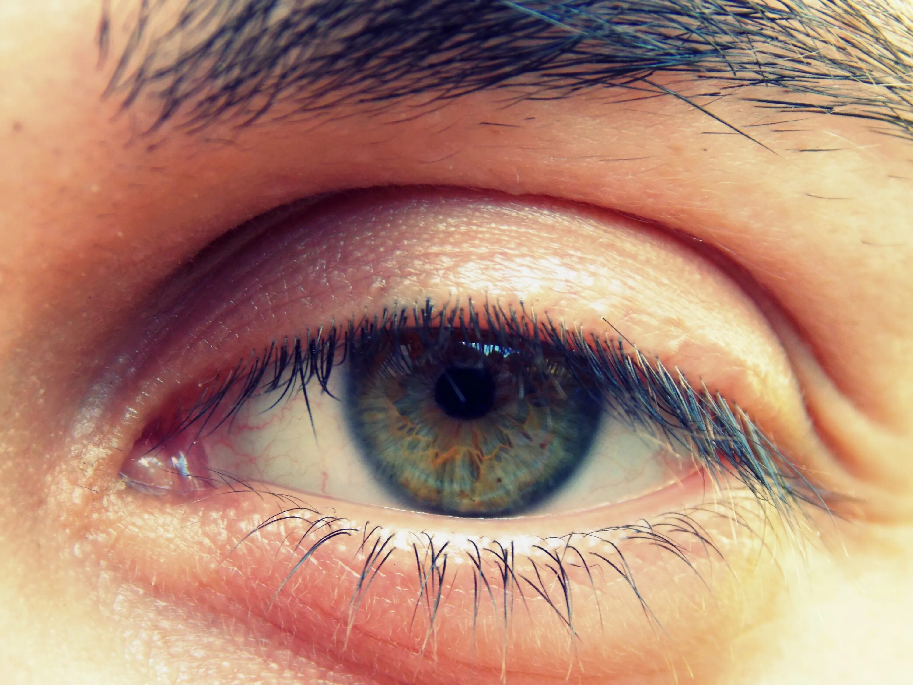 Глаз человека цена. Глаз человека. Глаз человека фото. Макияж с зелеными ресницами. Зрачок.