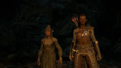 Dragons dogma mods