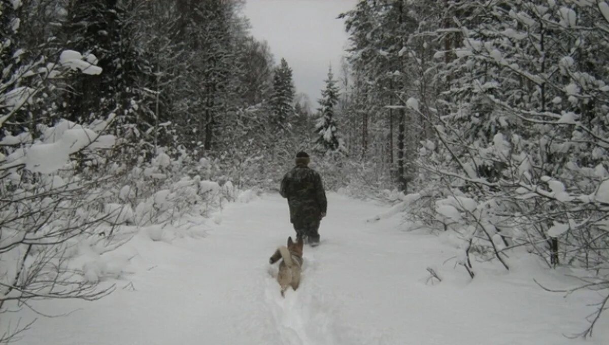 Охота зимой. Охотник в зимнем лесу. Охотник зимой в лесу. Охота в лесу.