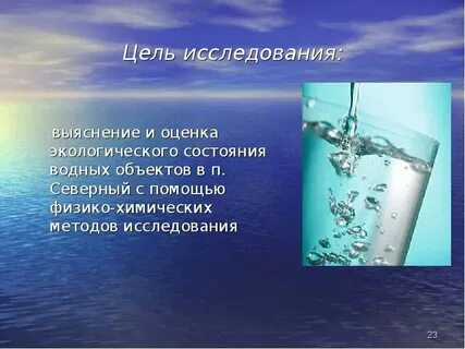 Экологическая оценка водных объектов