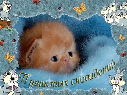 Споки картинки прикольные смешные