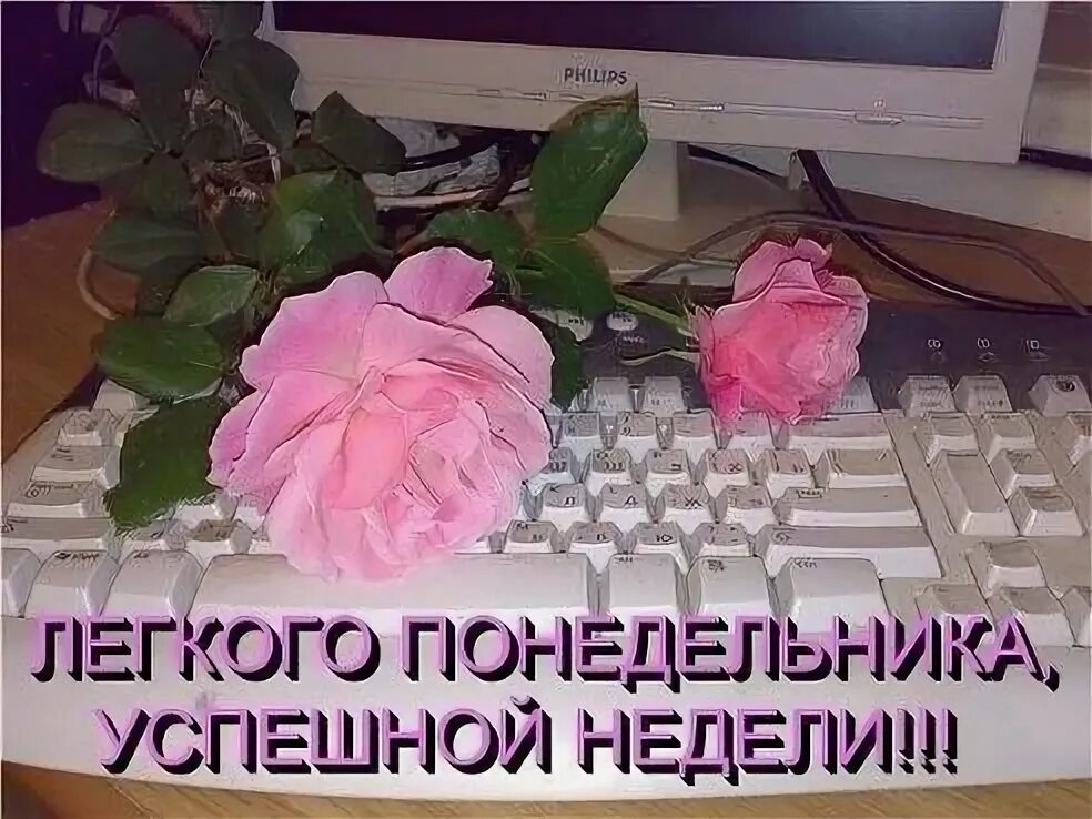 Легкого понедельника удачной недели с добрым утром. Открытки с понедельником. открытки с добрым понедельником. легкого понедельника. красивые открытки с понедельником.