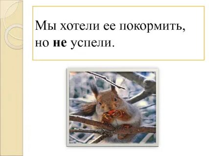 Хотел накормить