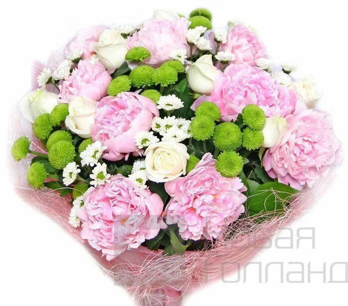 Купить букет ижевск. Букеты. Красивый букет цветов. Букет из цветов. Букет из роз и хризантем.