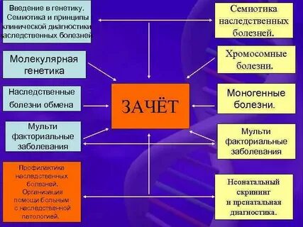 Клиническая диагностика принципы