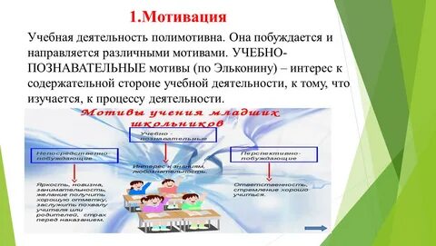 Какую деятельность ведет