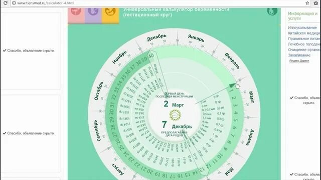 Калькулятор беременности по неделям и дням рассчитать. Калькулятор беременности. квинтальный круг.