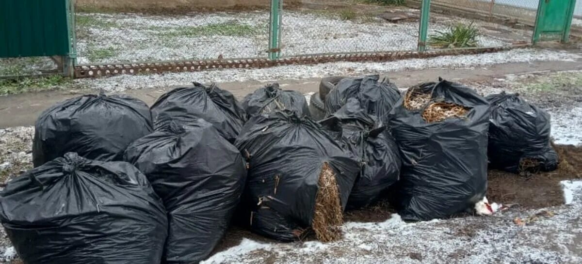 Подслушано сальск свежие новости. Отходы. Складирование отходов. Мусорные отходы.