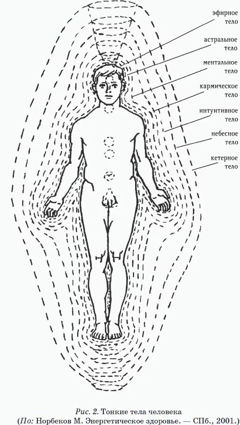 Эфирный это. Энергетические тела человека схема. Тонкие энергетические тела человека. Тонкие тела. Астральное и эфирное тело.