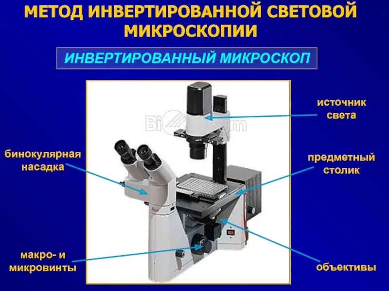 Использование микроскопа. Метод микроскопия (микроскопирование). инвертированный микроскоп iv6200fl. строение микроскопа макровинт. методы микроскопии в световом микроскопе.