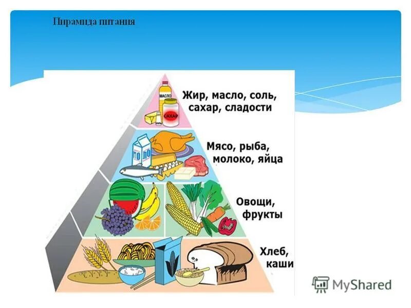 Рациональное питание школьника. Принципы рационального питания технология 5 класс. Принципы рационального питания. Пропорции рационального питания. Понятие рационального питания.