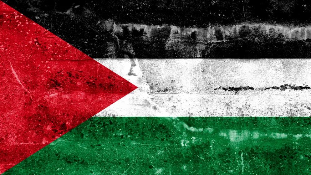 Как выглядит флаг палестины Download wallpapers Flag of Palestine, 4k, Asia, wooden texture, Palestinian fla
