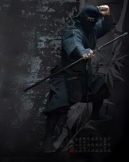 Ninjutsu sora v2