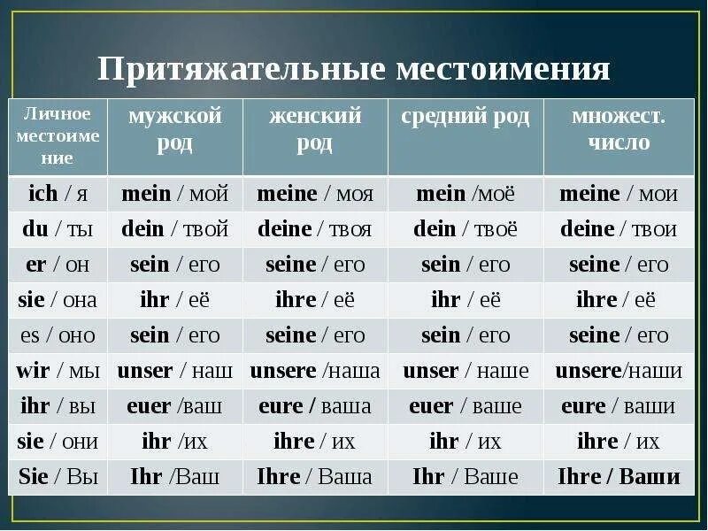 Таблица личных и притяжательных местоимений в немецком языке. Притяжательные местоимения в немецком языке таблица. Немецкий притяжательные местоимения таблица. Спряжение притяжательных местоимений в немецком языке.