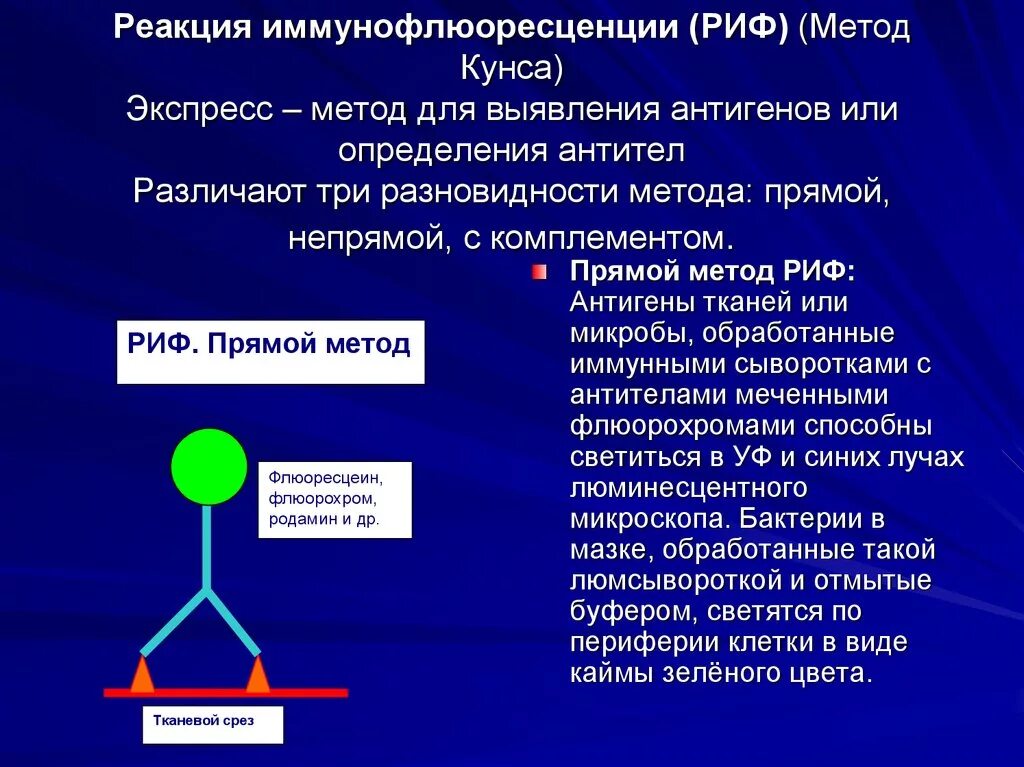 Прямой метод цель. Реакция непрямой иммунофлюоресценции. Риф реакция иммунофлюоресценции. Реакция иммунной флюоресценции схема. Для реакции иммунофлюоресценции - риф (метод Кунса) необходимы:.