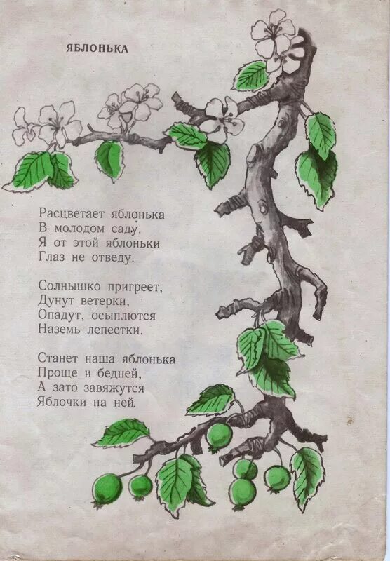 Расти расти яблонька. Детский стишок про яблоньку. Стихотворение Яблонька. Яблонька стихотворение для детей. Стих маленькая Яблонька.