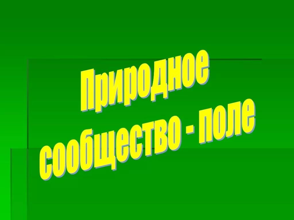 Природное сообщество сообщение 7 класс