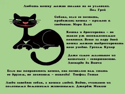 Есть слово кошка