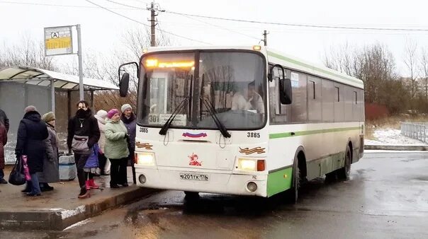 Красное село автобус. Красное село автовокзал. Общественный транспорт 301. Автобусы красного села.